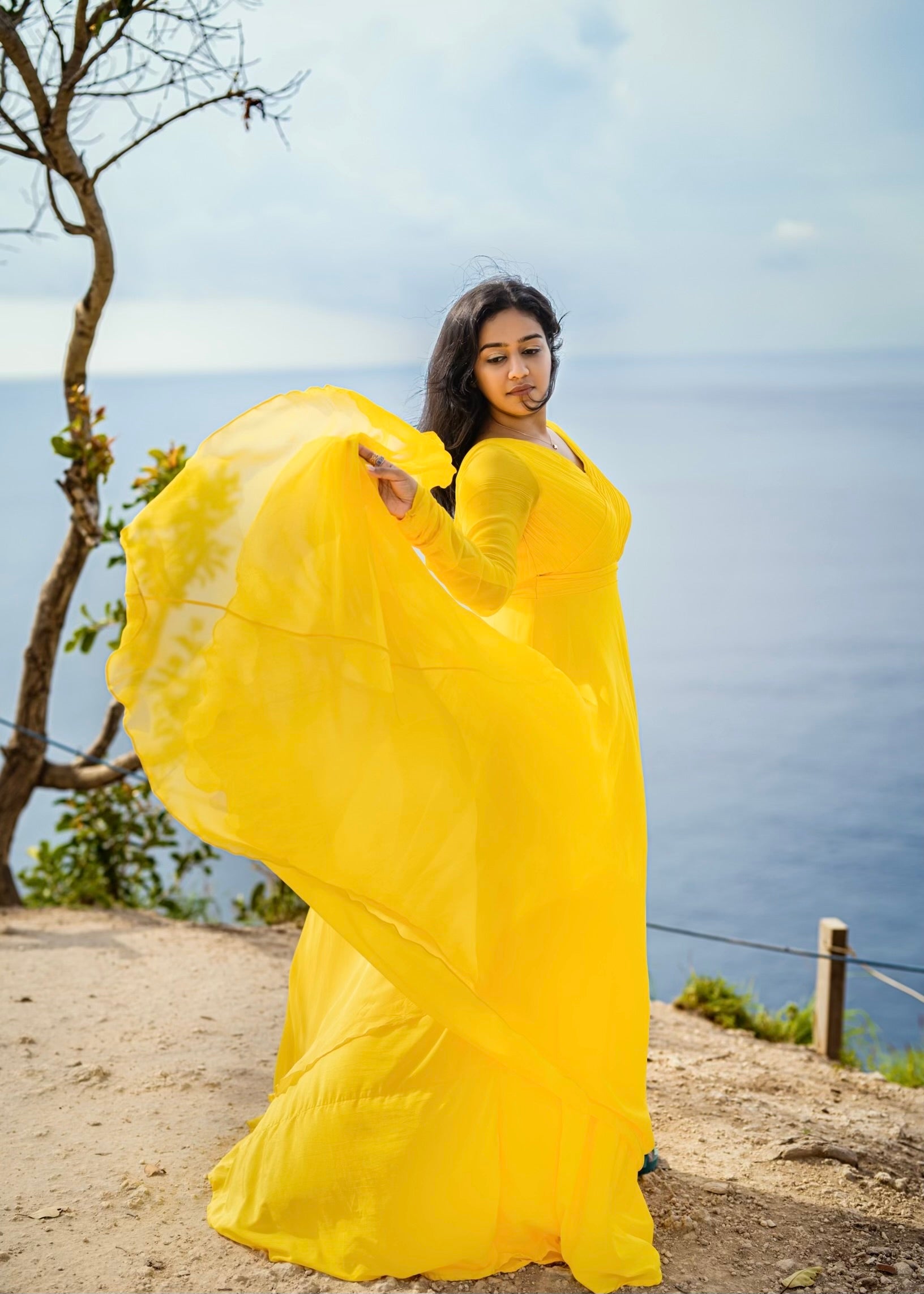 Elysian Pleats Dress