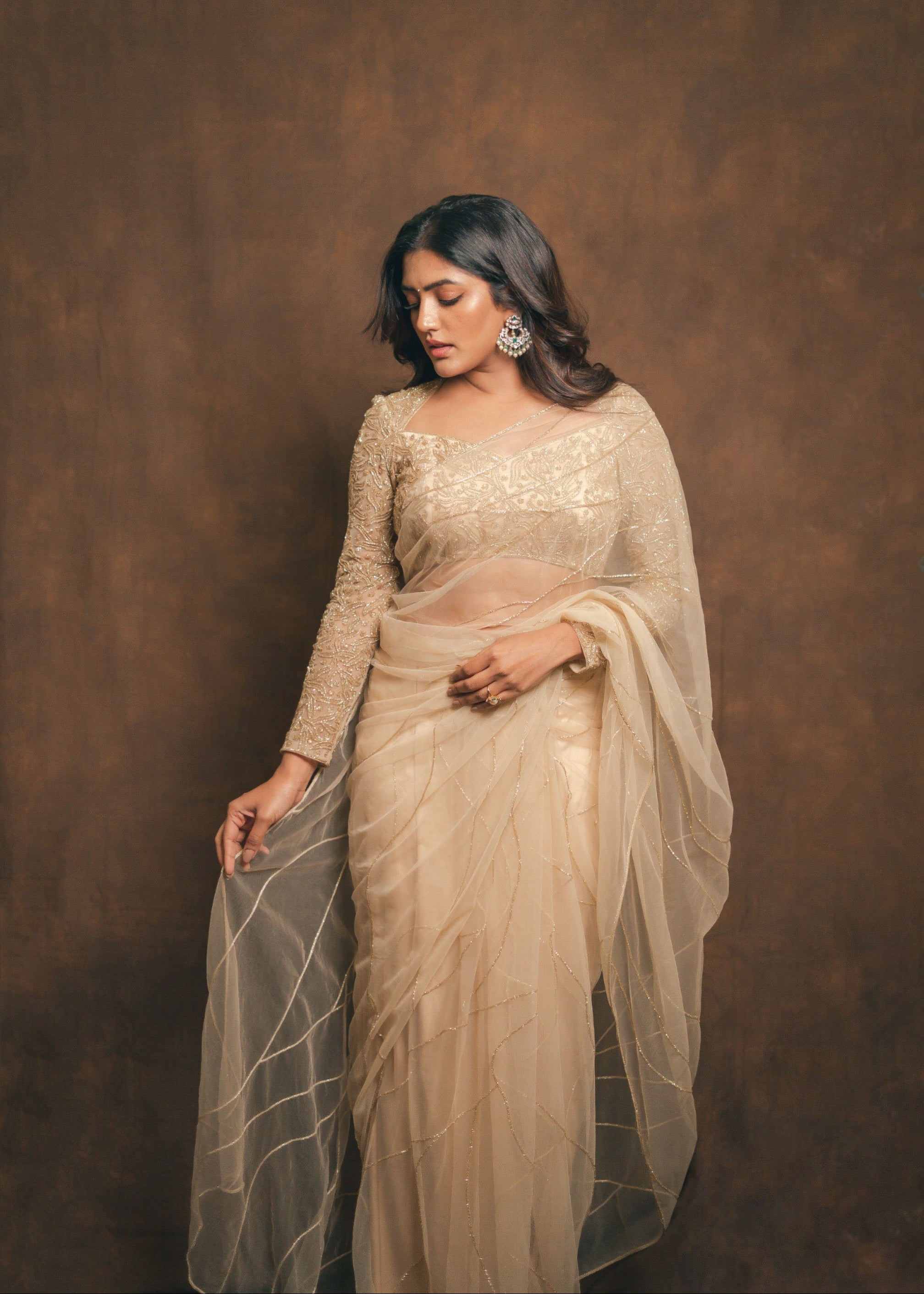 Golden Stardust Saree Set