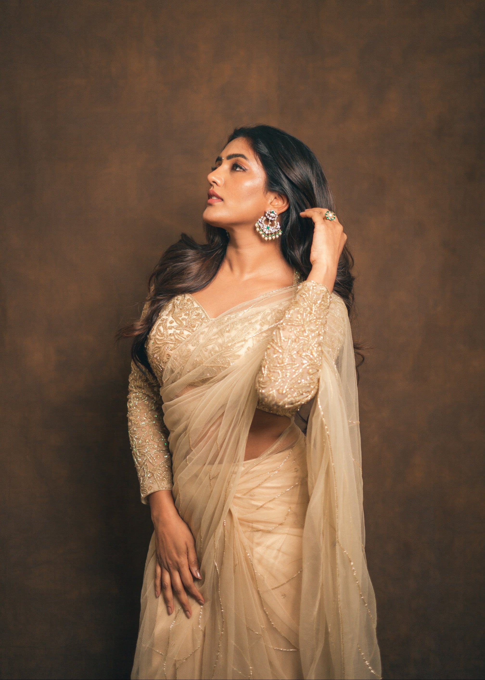 Golden Stardust Saree Set