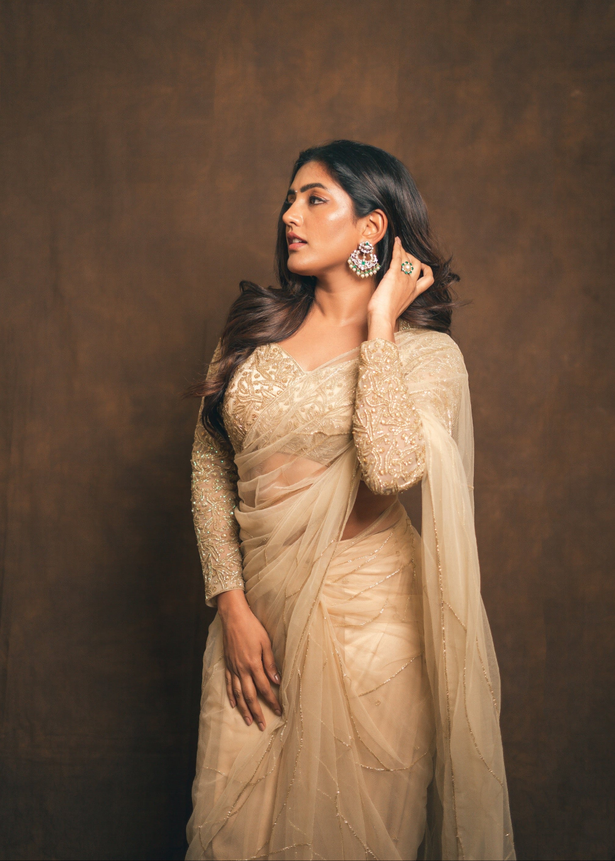 Golden Stardust Saree Set